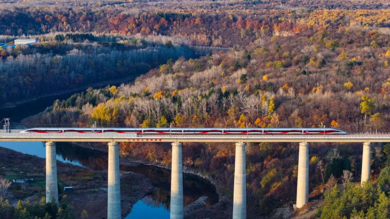 沈白高鐵正式開通運營。受訪方供圖